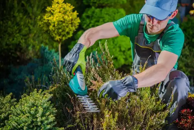 landscaping services Calhoun City